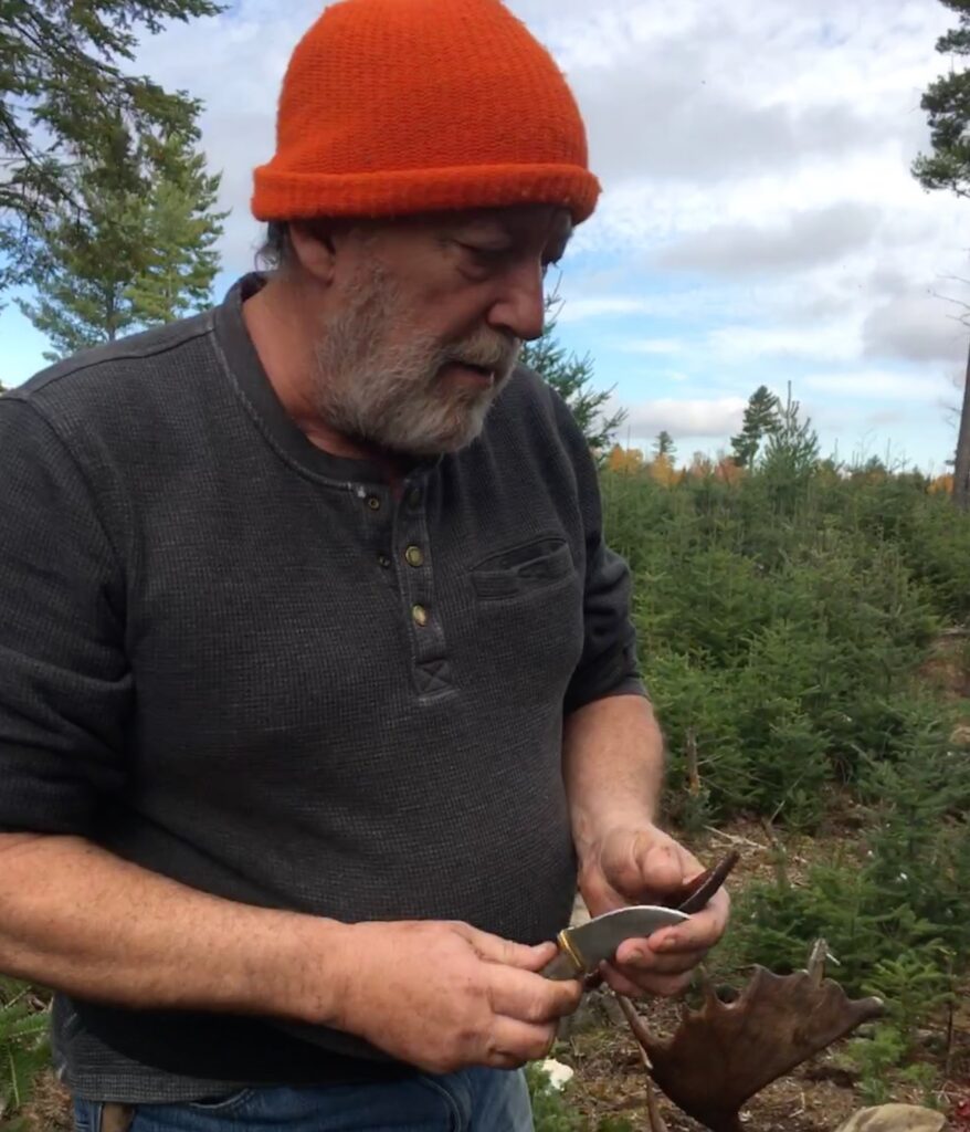 Eddington hunter gets first moose permit after decades of failed