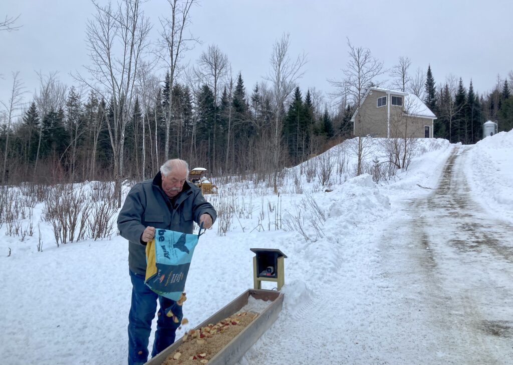 Brownville man’s deerfeeding venture keeps growing, but experts don’t