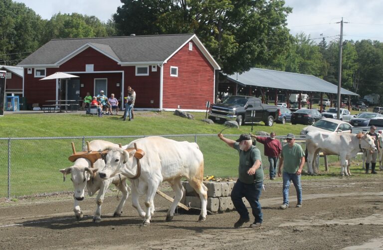 Expect Maine’s fairs to be more agricultural this year Piscataquis