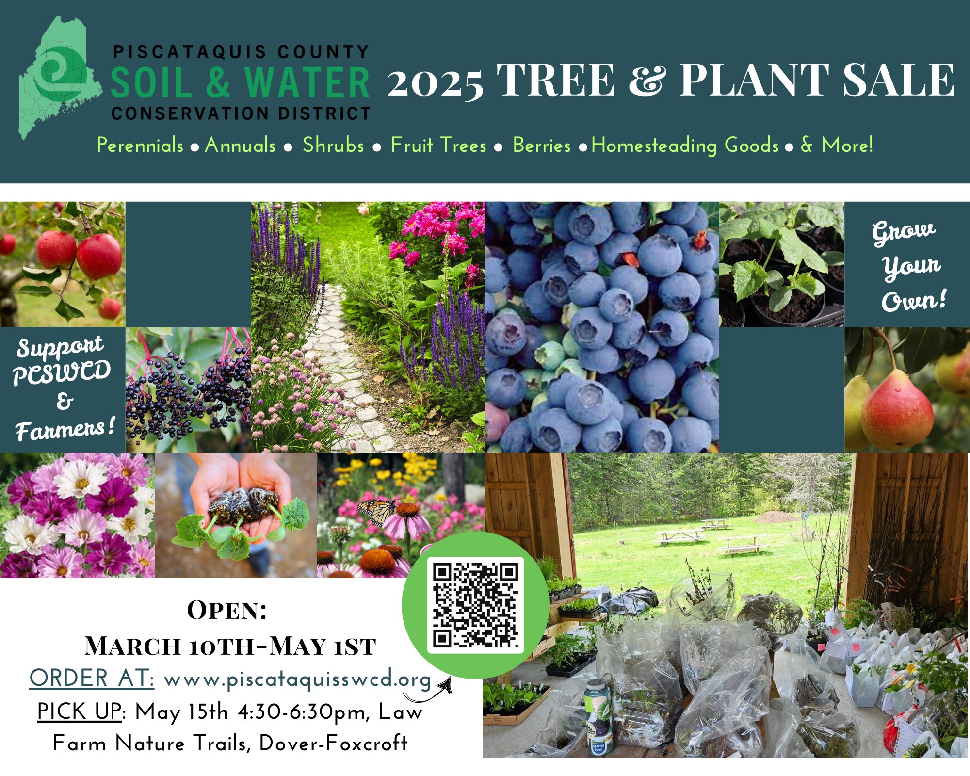 Swcd Tree Sale PCSWCD’s 17th annual Tree & Plant Sale -Piscataquis Observer