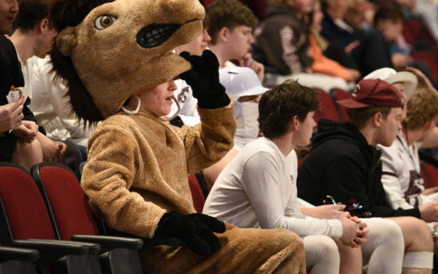 Take a look behind the scenes to meet Maine high school mascots